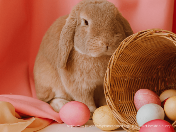 We wish a Happy Easter 2023