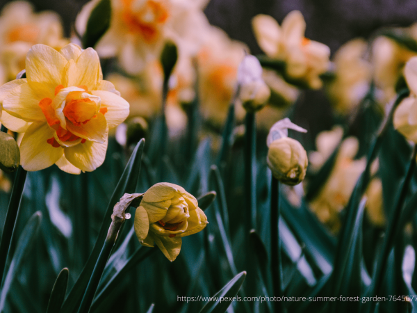 Warmest and Positive Easter Greetings 2022 to all our invaluable Customers!