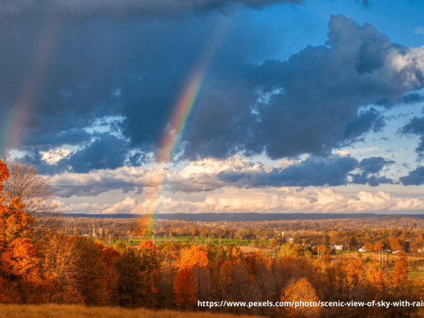 We are sending our best wishes on First Day of Autumn 2023